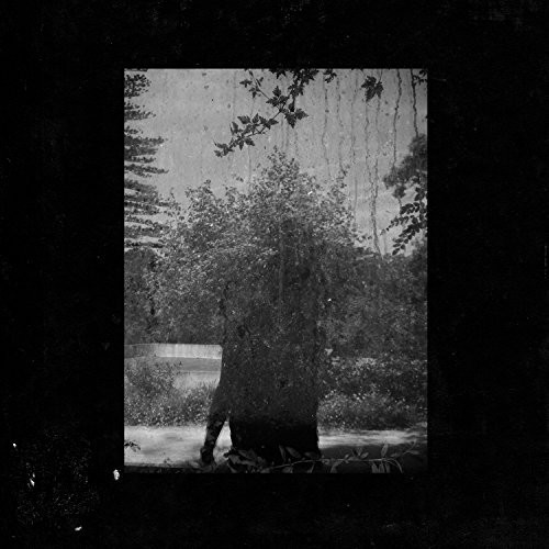 Grouper Ruins - 2014