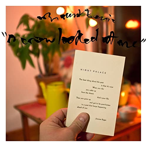 Mount Eerie A Crow Looked At Me - 2017